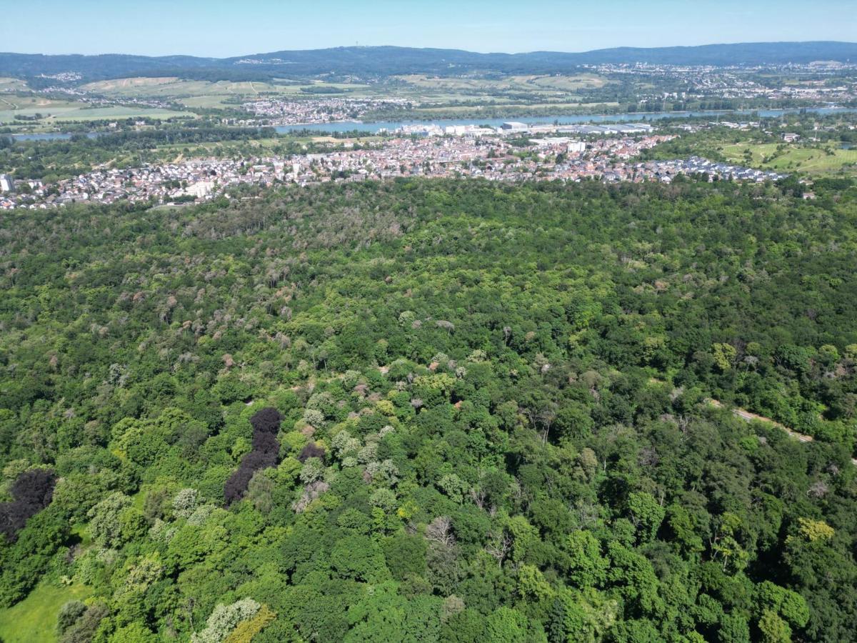 Ferienhaus Budenheim Zewnętrze zdjęcie